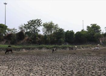 Hindistan, son 122 yılın en kurak ağustosunu geçirdi