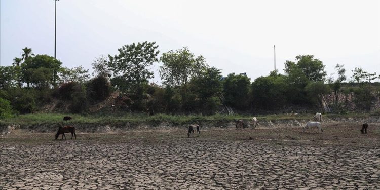 Hindistan, son 122 yılın en kurak ağustosunu geçirdi