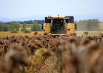 Çiftçilere 56,2 milyon liralık destekleme ödemesi yapılacak