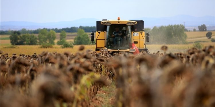 Çiftçilere 56,2 milyon liralık destekleme ödemesi yapılacak