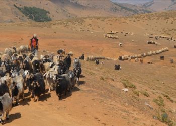 Muş’taki yaylalarda konaklayan göçerler dönüş için hazırlıklara başladı