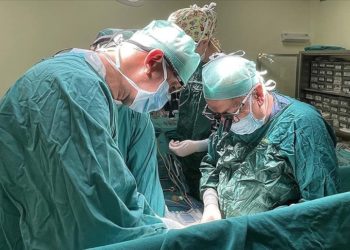 Boston-Malatya hattındaki bilimsel çalışma 33 karaciğer hastasını sağlığına kavuşturdu