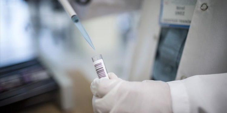 EKMUD: Sağlık Bakanlığı verilerine göre 2022 yılında 250 bin 375 kuduz riskli temas durumu olmuştur