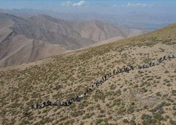Doğaseverler, Van Gölü konusunda farkındalık oluşturmak için Artos Dağı’na tırmandı