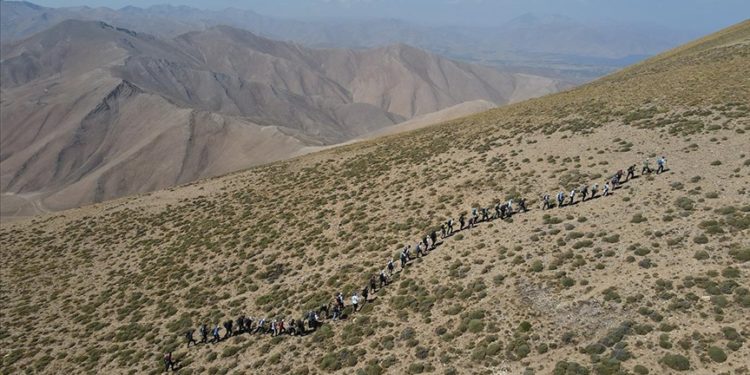 Doğaseverler, Van Gölü konusunda farkındalık oluşturmak için Artos Dağı’na tırmandı