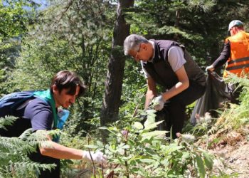 Çevreci gönüllüler Yedigöller Milli Parkı yolunda atık topladı