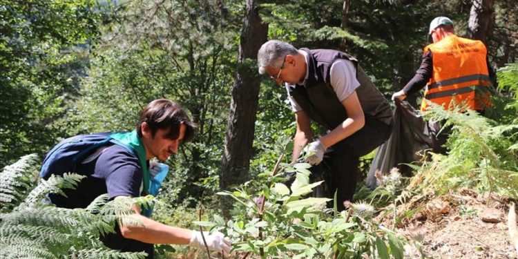 Çevreci gönüllüler Yedigöller Milli Parkı yolunda atık topladı