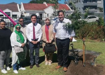 Güney Afrika’da fırtınada devrilen asırlık “Türk Meşesi”nin yerine yenisi dikildi