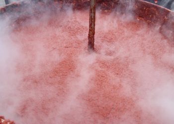 Bilecik’te günde 2 ton üretilen ev tipi domates salçası yurt dışına da gönderiliyor