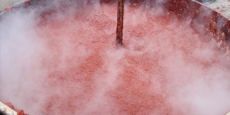 Bilecik’te günde 2 ton üretilen ev tipi domates salçası yurt dışına da gönderiliyor