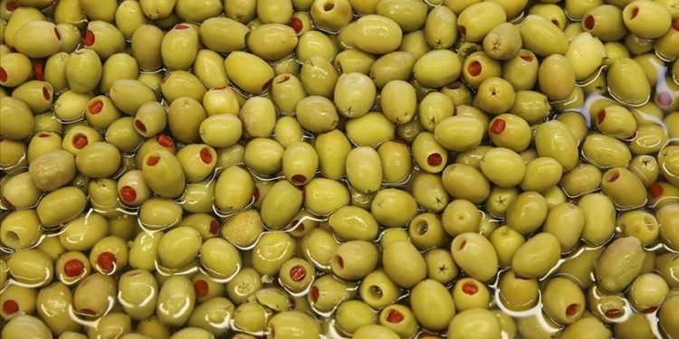 Türkiye'nin sofralık zeytin ihracatı 184,5 milyon doları buldu