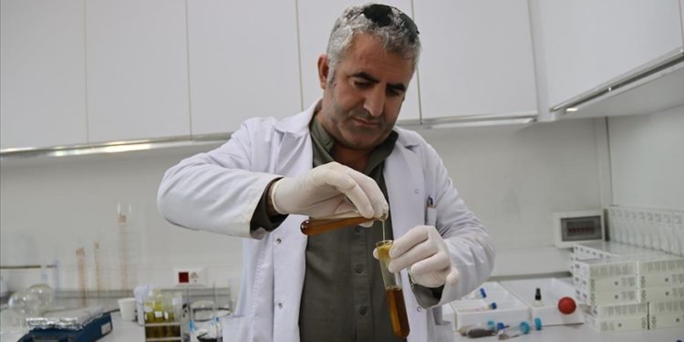 Ürettikleri temizlik malzemeleriyle Iğdır Üniversitesinin ihtiyacını karşılıyorlar