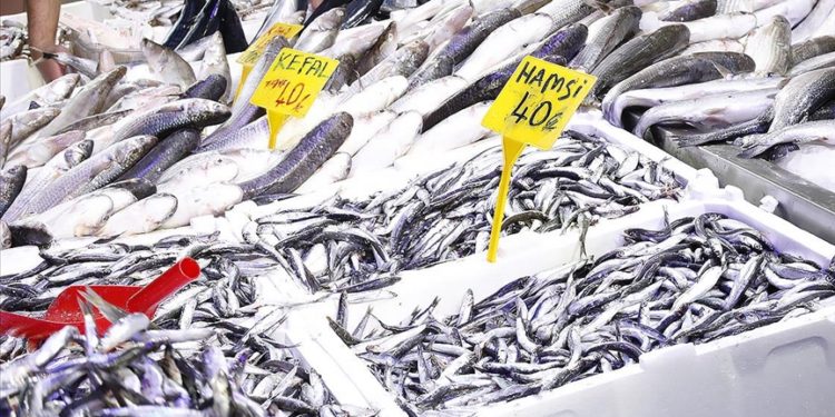 Samsun'da hamsinin kilogram fiyatı 40 liraya kadar geriledi