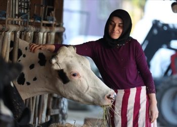 Bir inekle başladı, devlet desteğiyle çiftlik kurdu