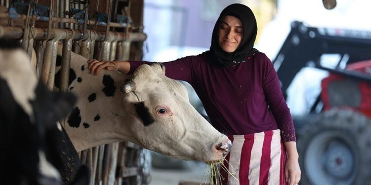 Bir inekle başladı, devlet desteğiyle çiftlik kurdu