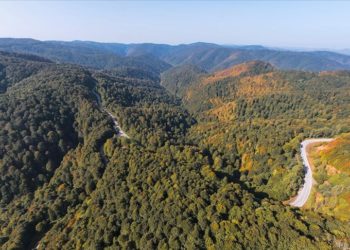 Çam Dağı'na sonbaharın renkleri hakim olmaya başladı