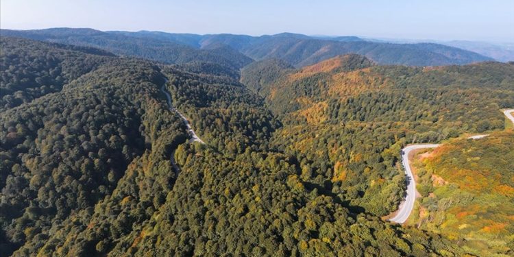 Çam Dağı'na sonbaharın renkleri hakim olmaya başladı