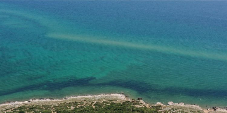 Ege Denizi'ndeki ısınmanın küresel etkileri olabilir