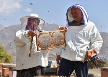 Ordulu çift “ikinci memleketimiz” dedikleri Hakkari’de 30 yıldır arıcılık yapıyor