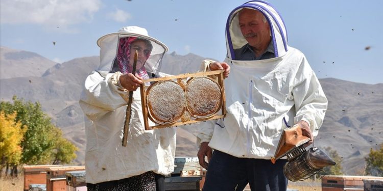 Ordulu çift “ikinci memleketimiz” dedikleri Hakkari’de 30 yıldır arıcılık yapıyor
