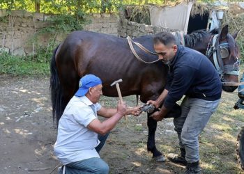 Iğdırlı nalbant mesleğini 45 yıldır sürdürüyor