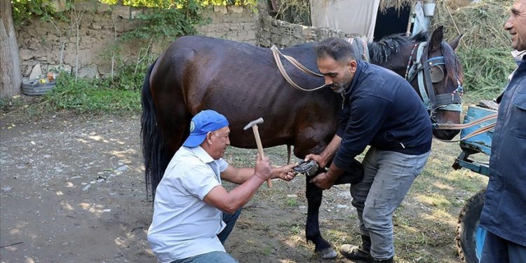 Iğdırlı nalbant mesleğini 45 yıldır sürdürüyor
