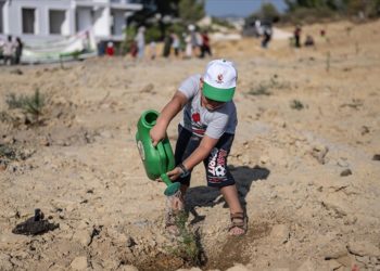 58. Cumhurbaşkanlığı Türkiye Bisiklet Turu Hatıra Ormanı oluşturuldu