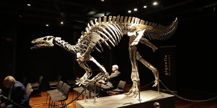 Paris'te 150 milyon yıllık dinozor iskeleti açık artırmayla 930 bin avroya satıldı