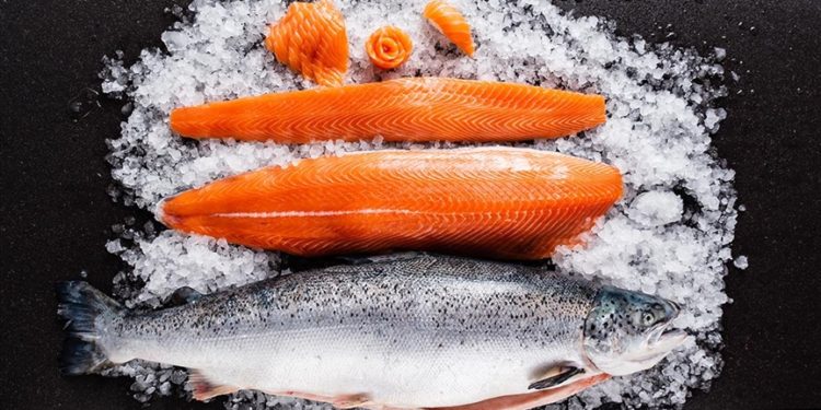 Türk somonu DKİB tarafından Çin’de tanıtılacak