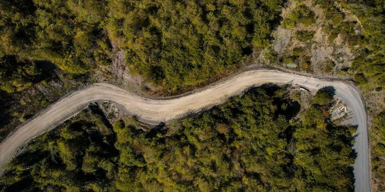 Ilgaz Dağı'nda sonbahar renkleri hakim olmaya başladı