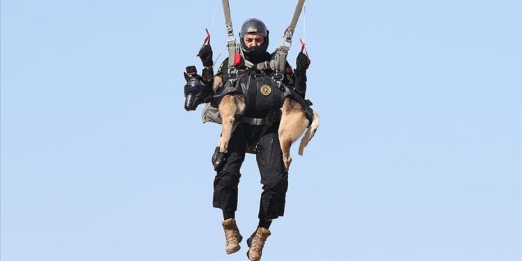 Jandarmanın arama kurtarma köpeği “Maça”, zorlu operasyon bölgelerine paraşütle inecek