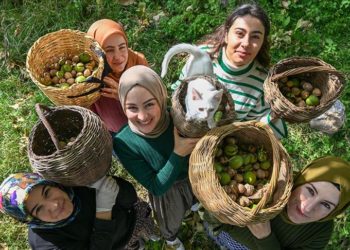 Vanlı kadınlar dağların eteklerinden topladıkları cevizi birçok şehre gönderiyor