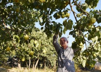 Hakkarili çiftçi kazancıyla her yıl köyündeki 15 öğrenciye burs veriyor