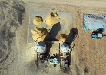 Edirne'de çiftçilerin meşakkatli çeltik kurutma mesaisi başladı