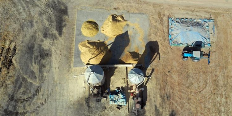 Edirne'de çiftçilerin meşakkatli çeltik kurutma mesaisi başladı