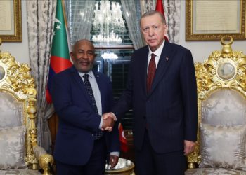 Cumhurbaşkanı Erdoğan, Komorlar Birliği Cumhurbaşkanı Azali ile bir araya geldi