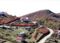 Trabzon-Giresun sınırındaki 2 bin 182 rakımlı Sis Dağı'nda güz zamanı