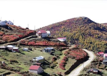 Trabzon-Giresun sınırındaki 2 bin 182 rakımlı Sis Dağı'nda güz zamanı