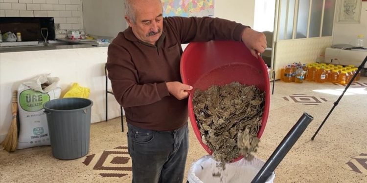 Yozgatlı çiftçi köyünde kurduğu değirmende aspirden yağ elde ediyor