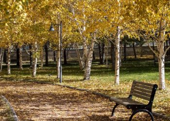 Atatürk Üniversitesi yerleşkesi ve Ata Botanik Bahçe'de sonbahar renkleri hakim oldu