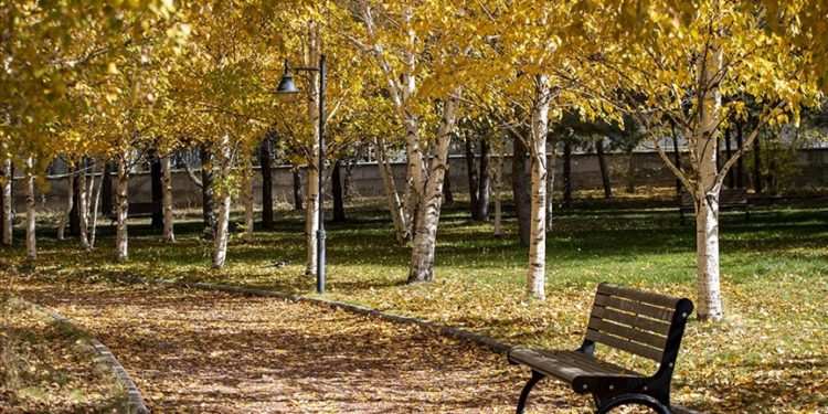 Atatürk Üniversitesi yerleşkesi ve Ata Botanik Bahçe'de sonbahar renkleri hakim oldu