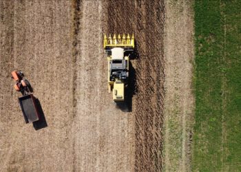 Bakan Yumaklı, 636 milyon liralık tarımsal destekleme ödemesinin bugün yapılacağını açıkladı