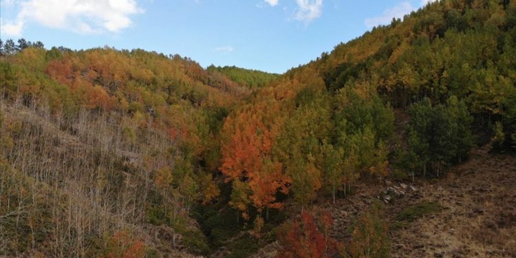 Nemrut Krater Gölü sonbaharda da doğaseverlerin uğrak noktası oldu