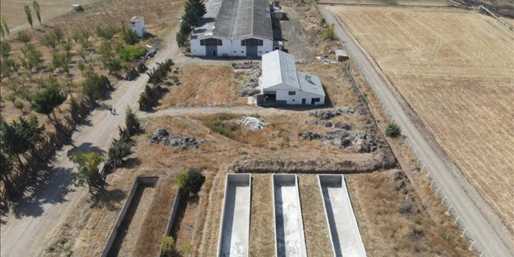 37 yıldır atıl olan fabrikada çarklar kenevir işlemek için yeniden dönmeye başladı