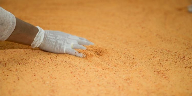 Uşaklı kadınların tarhana imecesi girişim hikayesine dönüştü