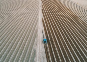 Tarımsal girdi fiyat endeksi ağustosta aylık yüzde 6,94, yıllık yüzde 41,33 arttı