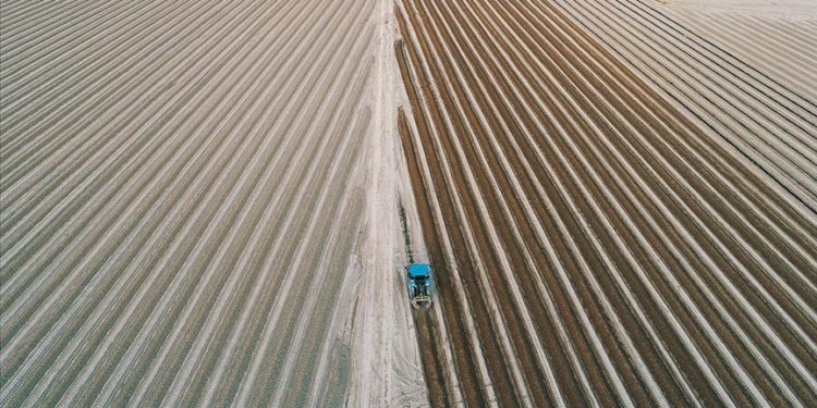 Tarımsal girdi fiyat endeksi ağustosta aylık yüzde 6,94, yıllık yüzde 41,33 arttı