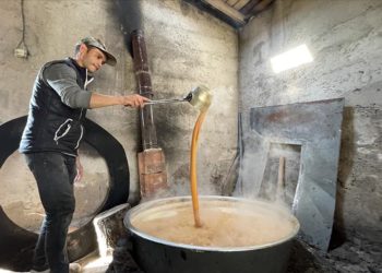 Tescilli İncesu üzümü pekmeze dönüştürülüyor