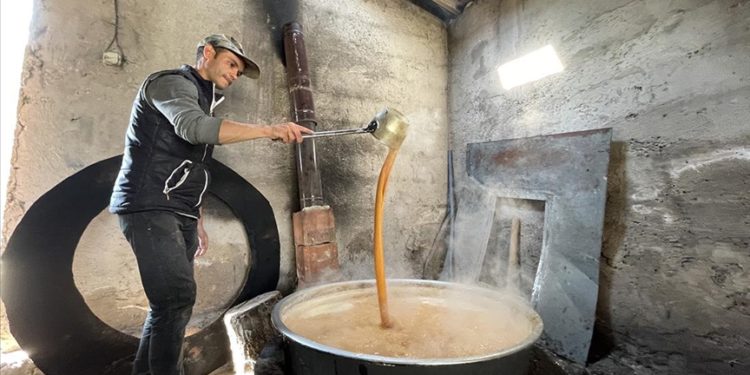 Tescilli İncesu üzümü pekmeze dönüştürülüyor