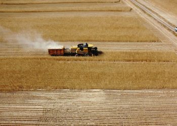 Trakya’da çiftçi bu yıl da buğdayını kuru toprağa ekecek